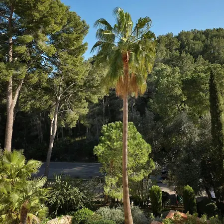 מלון Sheraton Mallorca Arabella Golf 5*